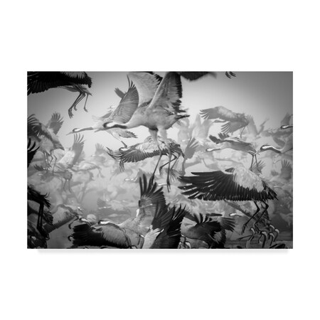 Trademark Fine Art Ido Meirovich Fine Art, Multicolor